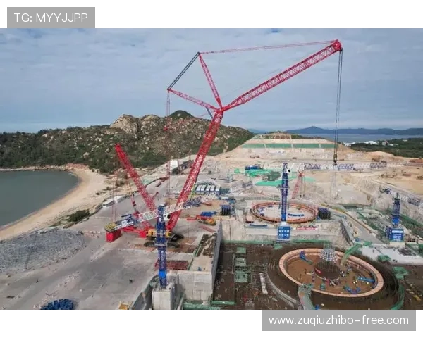 模块化竞赛内容在体系建设期实现了对不同年龄段的精准覆盖